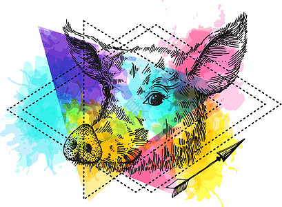 手画的矢量插图猪草图 新年2019年的标志手绘尾巴服装艺术牛肉动物家畜宠物猪肉食物图片