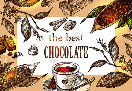 图表图解巧克力甜点草图雕刻绘画艺术可可菜单标签餐厅种子图片