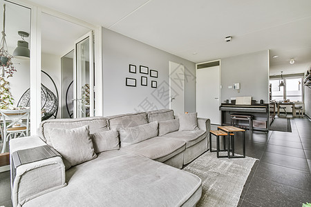 舒适的时装客厅沙发风格住宅房地产建筑房子奢华装饰财富公寓图片