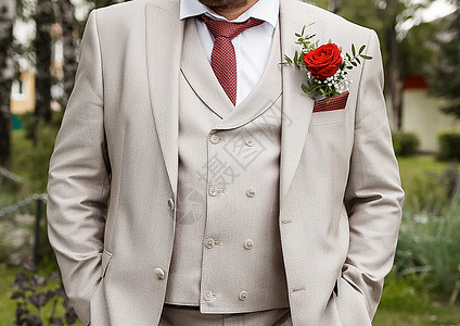 新郎的浅米色西装 穿着布丁和红领带紧身衣领带成人玫瑰婚姻男人外套燕尾服胸花仪式夫妻图片