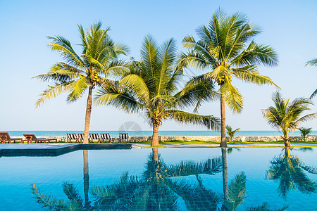 旅馆和度假村的户外游泳池水池奢华天空棕榈树木游泳旅行椰子热带假期图片