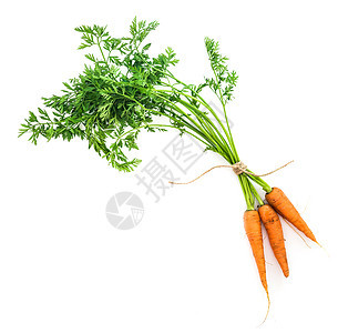 有叶叶的胡萝卜蔬菜块茎叶子烹饪橙子收成食物植物团体营养沙拉图片