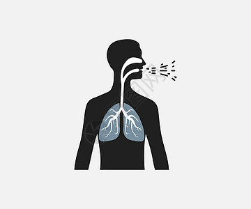 肺部人身影 矢量插图 平面设计膀胱科学器官冒号甲状腺身体艺术数字支气管呼吸图片