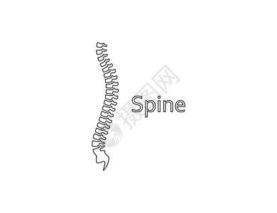 人类脊椎 解剖学 主干图标 矢量插图绘画骨干科学标签骨科骨骼药品医院椎骨骨头图片