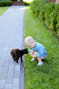小孩和猫穿着牛仔裤衬衫的小caucasian男性男孩站在院子里和猫站在一起背景