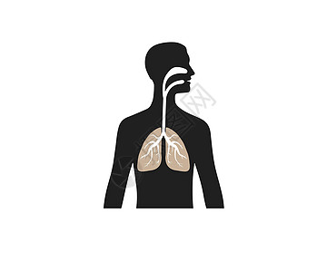 肺部人身影 矢量插图 平面设计生物学癌症医院艺术蓝色男人男性器官呼吸支气管图片