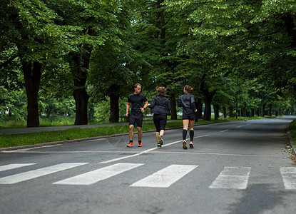 早上训练赛跑队跑步公园朋友们成人竞赛运动培训师跑步者赛跑者慢跑图片