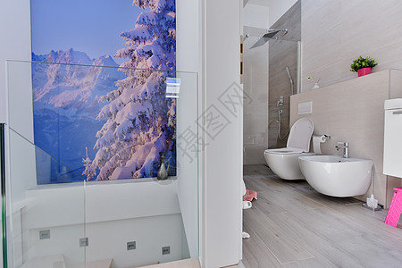 豪华的时尚式厕所室内地面房间镜子坐浴内阁洗手间公寓房子洗澡浴室图片