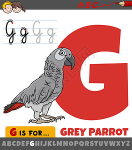 字母G 用卡通灰鹦鹉鸟图片