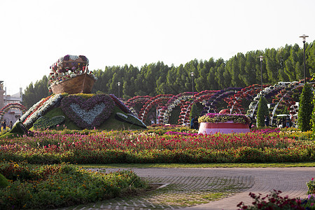 迪拜奇迹花园娱乐房子景点安装植物车轮场景植物群建筑学植物学图片