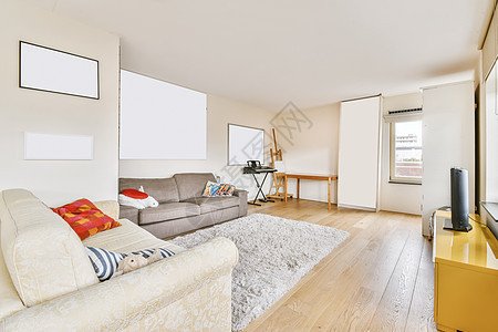 舒适的客厅 有牛奶和灰色沙发房地产房子奢华装饰家具公寓建筑风格地毯建筑学图片