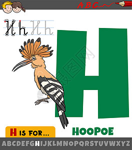 字母H H 用卡通小鸟环球鸟的字母表图片