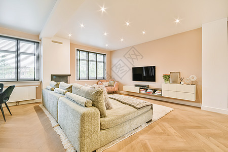 时髦的客厅和软绿色大沙发房地产财富家具房子建筑学建筑风格奢华住宅公寓图片