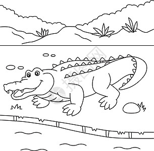儿童鳄鱼颜色页面彩页乐趣爬虫图画书白色婴儿捕食者野生动物动物热带图片