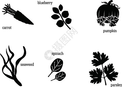 一些食用植物的轮廓 食物图标组图片
