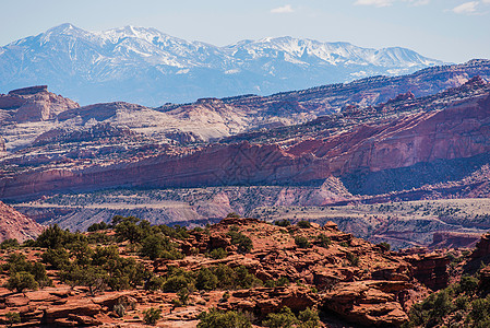 五颜六色的犹他州风景 前有红砂岩 后有雪山 圆顶礁国家公园 犹他州中南部图片