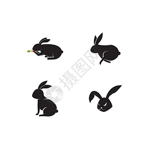 兔子 Logo 模板矢量图标插图设计哺乳动物标识网络宠物艺术野生动物白色卡通片动物草图背景图片