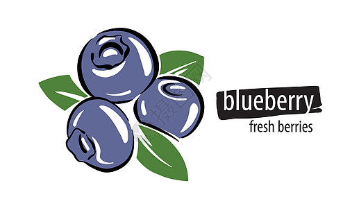 白色背景上的蓝莓( Draw 矢量)图片