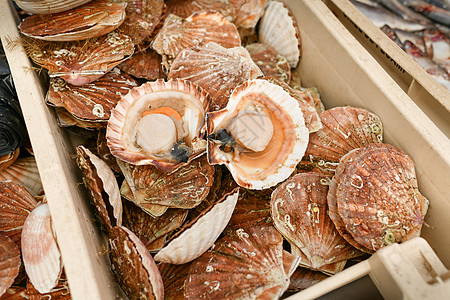 法国迪耶普海产食品市场新鲜扇贝海洋烹饪贝类食物美食渠道贝壳营养英语盒子图片