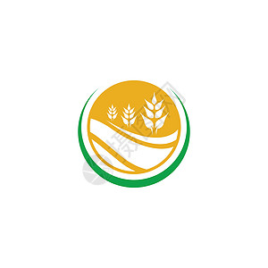农业小麦小麦标识模板矢量图标种子收成横幅粮食质量金子营养玉米燕麦市场图片