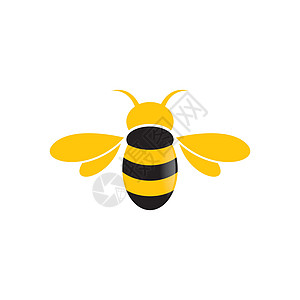 蜜蜂标志矢量 ico送货插图食物吉祥物动物黄色黑色卡通片艺术蜂窝图片