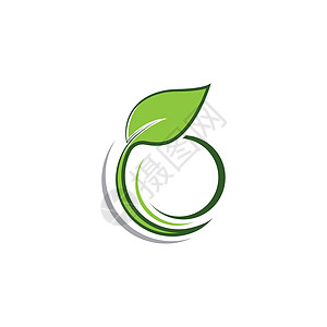 Leaf 徽标矢量图标环境生物生活活力收藏插图生长灯泡热带商业图片