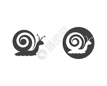 Snail 标识符号模板矢量图标插图田螺白色动物鼻涕虫粘液黑色艺术螺旋创造力剪贴图片