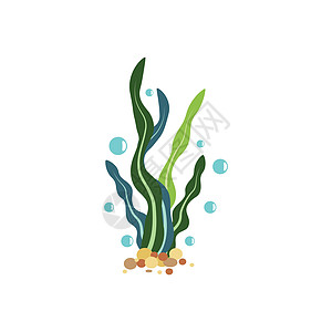 海藻标志模板矢量图标水族馆卡通片海底艺术生活生态绘画夹子海洋野生动物背景图片