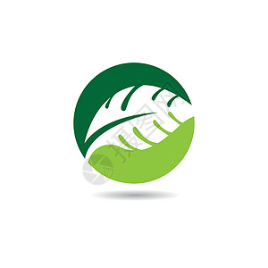 塔罗叶图标身份插图创造力叶子生态标识芋头绿色图片