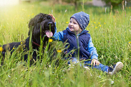 可爱的小男孩坐在草地上 和一只大黑史诺泽狗一起图片