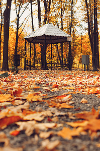 秋天晴朗的风景 公园内的道路通向凉亭 在阳光明媚的 10 月 秋天公园里的树木和落叶落在公园的地上 设计模板 复制空间环境季节旅图片