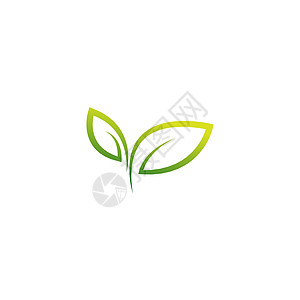 绿叶自然叶图标标志设计模板温泉标签农场生物树叶植物群发芽标识食物植物图片