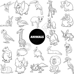 野生动物物种的特写 大系列大字符组图片