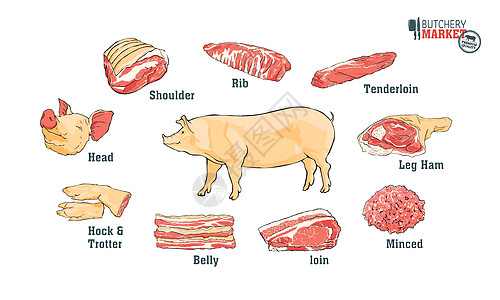 切猪肉部分的猪肉切肉套装 海报屠夫图复古排版一手拉 白色的矢量图图片