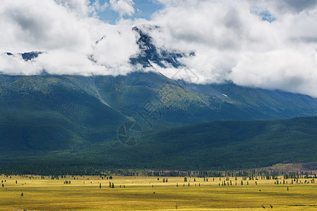 俄罗斯西伯利亚阿尔泰山脉夏季白雪覆盖的北丘亚山脉的风景森林冒险爬坡交易蓝色场景草原旅行岩石路线图片