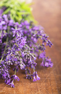 木本底的新鲜熏衣草 有紫花花花的夏季花花背景疗法香味乡村花束放松花朵木头香水宏观化妆品图片