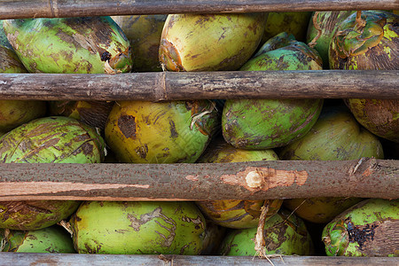 很多椰子植物热带食物商业农场市场异国健康农业可可图片