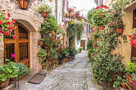 意大利安布里亚地区Spello村古老街道上的鲜花植物房子街道石头旅行窗户花园拼写城市村庄图片