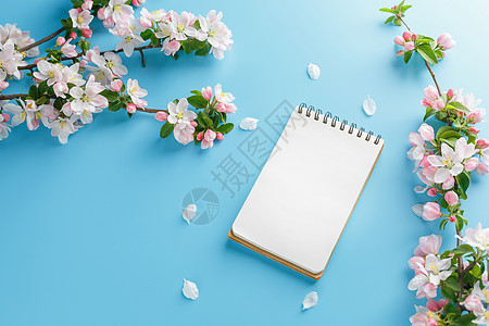 蓝色背景上盛开的春天樱花 带有记事本空间的问候语 春天和母亲节的概念 春天美丽精致的粉红色樱桃花框架季节天空横幅荒野果园卡片桌子图片