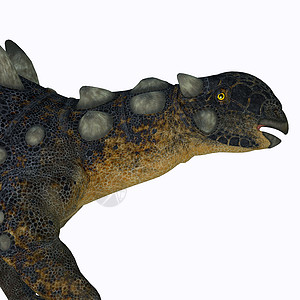 颈动物恐龙盾牌尾巴生物骨细胞短裙灭绝3d食草图片