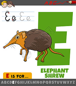 英文字母E 用漫画大象毛发动物性格的字母字母字母E图片