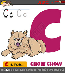 带有卡通松狮犬角色的字母表中的字母 C图片