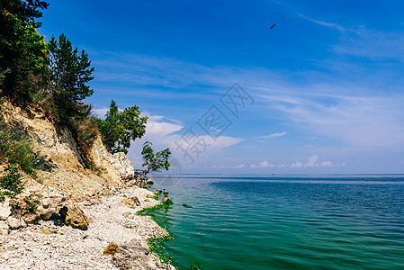 夏日在岩石海岸的树上悬崖河岸侵蚀橙子蓝色远足日光海浪巨石环境图片