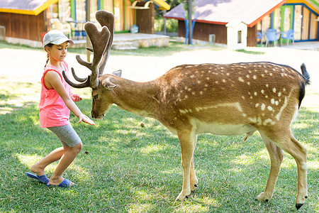 小女孩跟小鹿孩子在动物园喂野鹿 孩子们在户外喂养动物 小女孩在农场看驯鹿 孩子和宠物动物 家庭夏季动物园之旅 成群的鹿森林朋友们童年林地手表背景