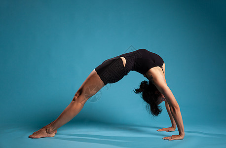 处于架桥姿势的运动健身妇女图片