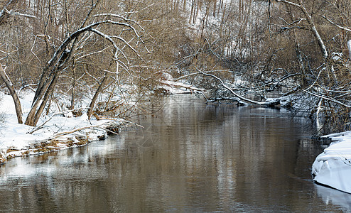 清凉风景清凉的河和雪树 寒冬日背景
