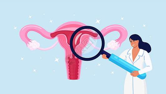医生妇科医生用放大镜进行子宫检查 妇科 女性健康的生殖系统 诊断发炎的子宫 子宫 卵巢 输卵管 药物治疗图片