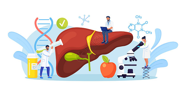 小医生治疗肝病 甲 乙 丙 丁型肝炎 肝硬化的医学诊断 一组医生检查病人的内脏 进行实验室测试 活检 分子分析感染临床外科生物学图片