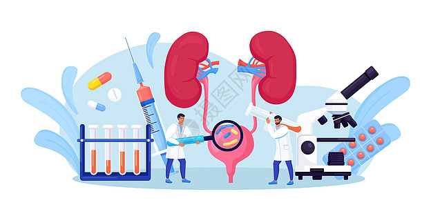肾脏科 泌尿科 尿路感染 UTI 医学概念 两名医生检查和治疗膀胱和肾脏 肾内窥镜检查 检查 肾部分切除术图片