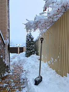 从房子院子里人行道上下雪的铲雪 雪中的铲子图片